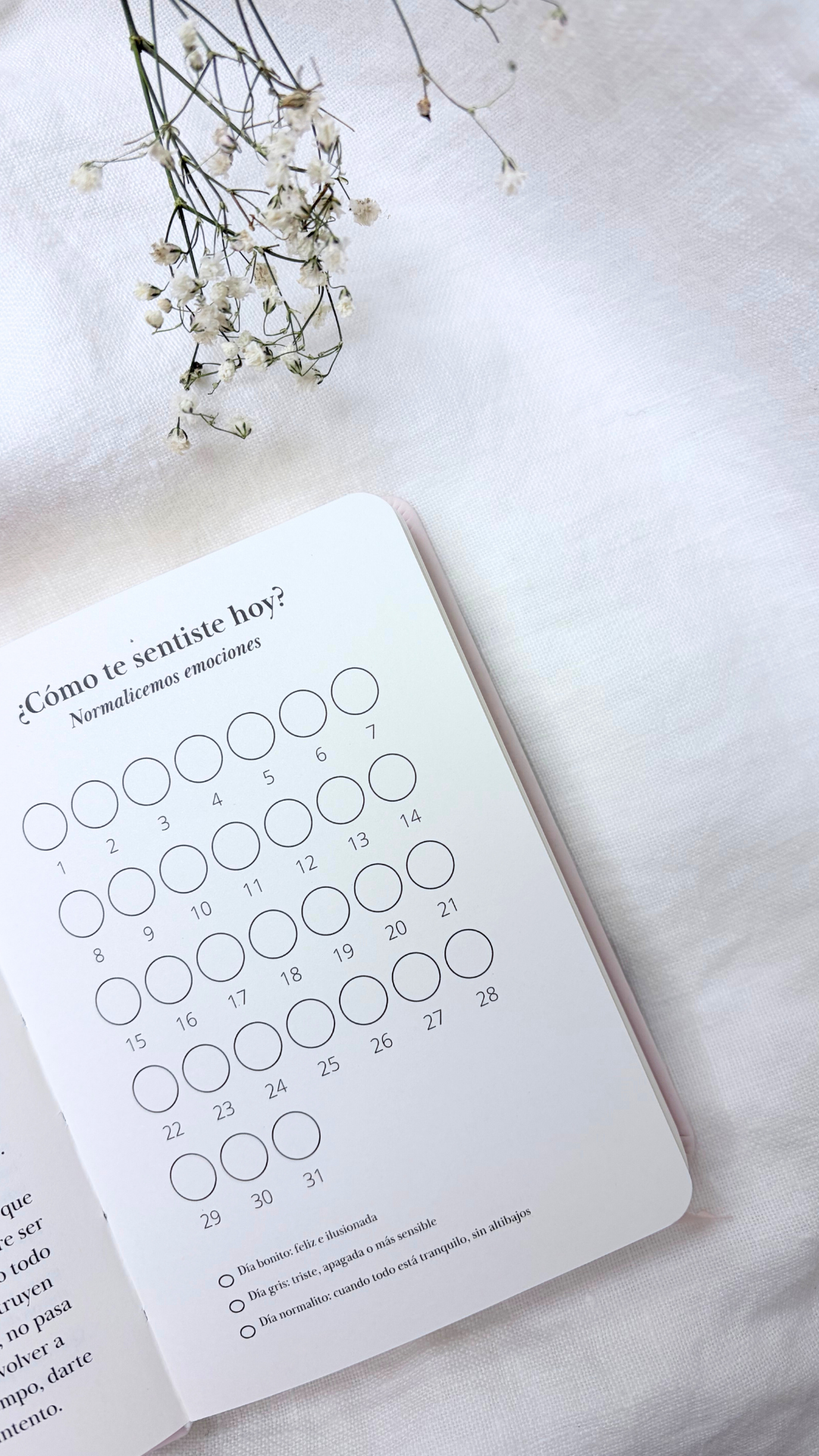 Mini Bullet Journal